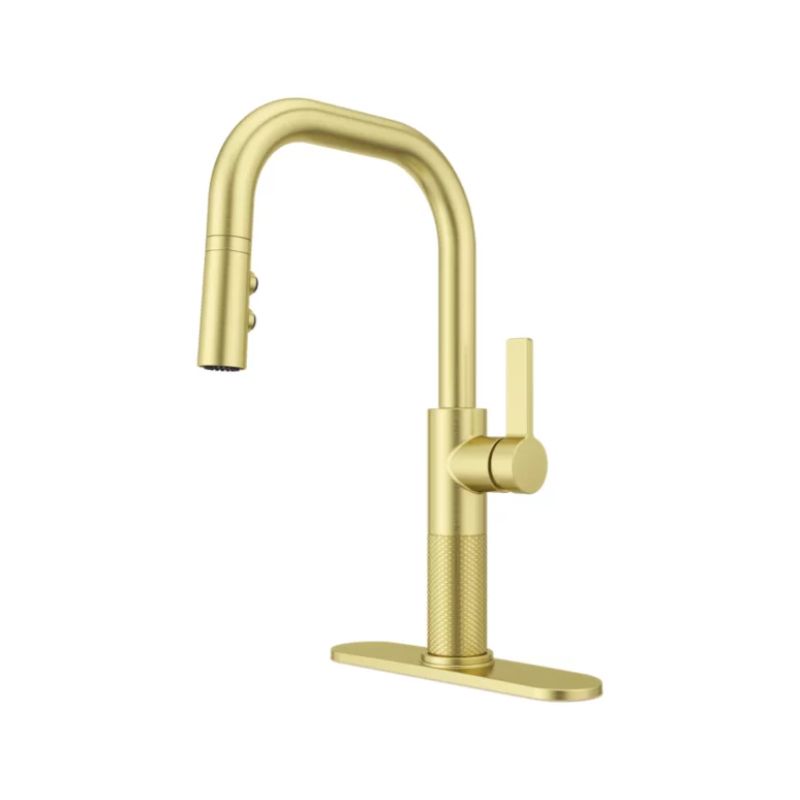 Montay Single-Handle Pull-Down Kitchen Faucet in Brushed Gold