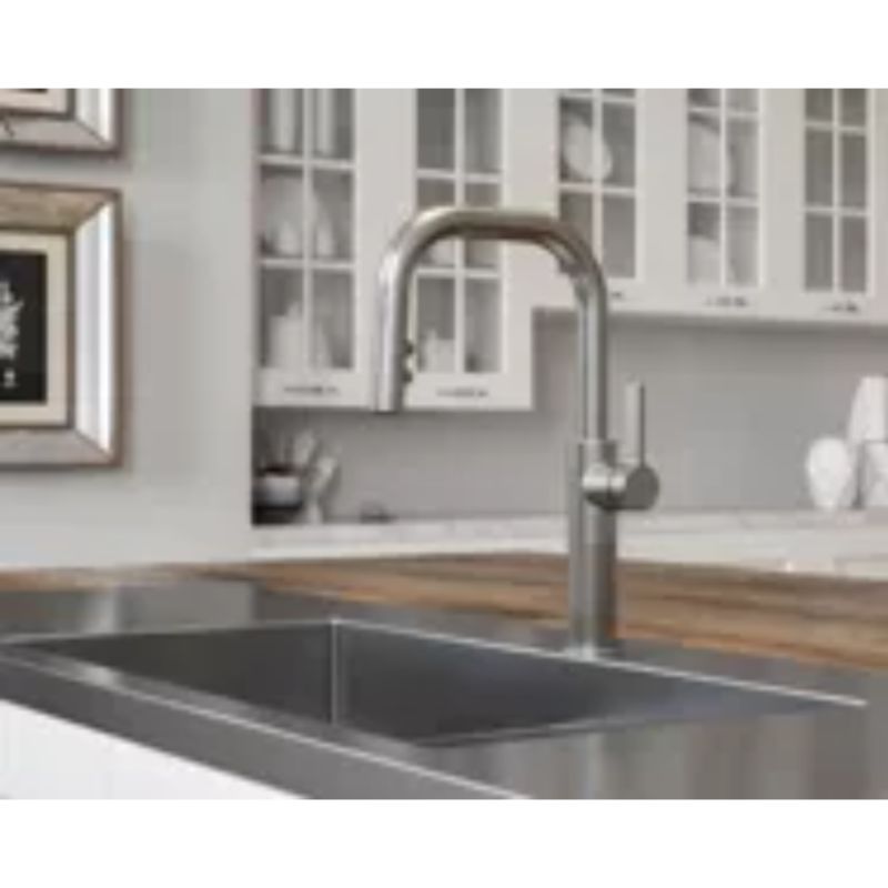 Montay Single-Handle Pull-Down Kitchen Faucet in Stainless Steel