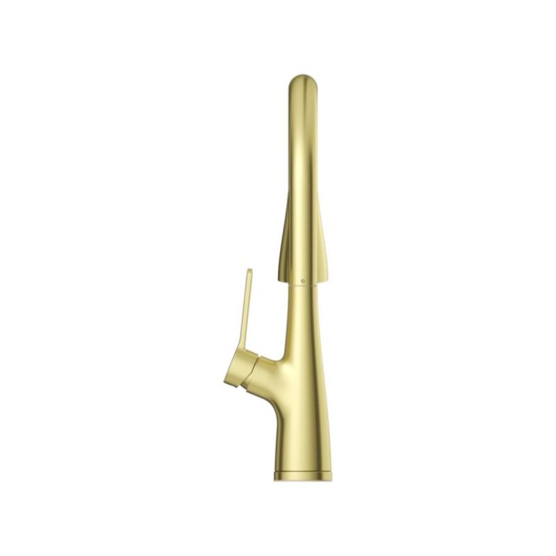 Neera Pull-Down Kitchen Faucet in Brushed Gold