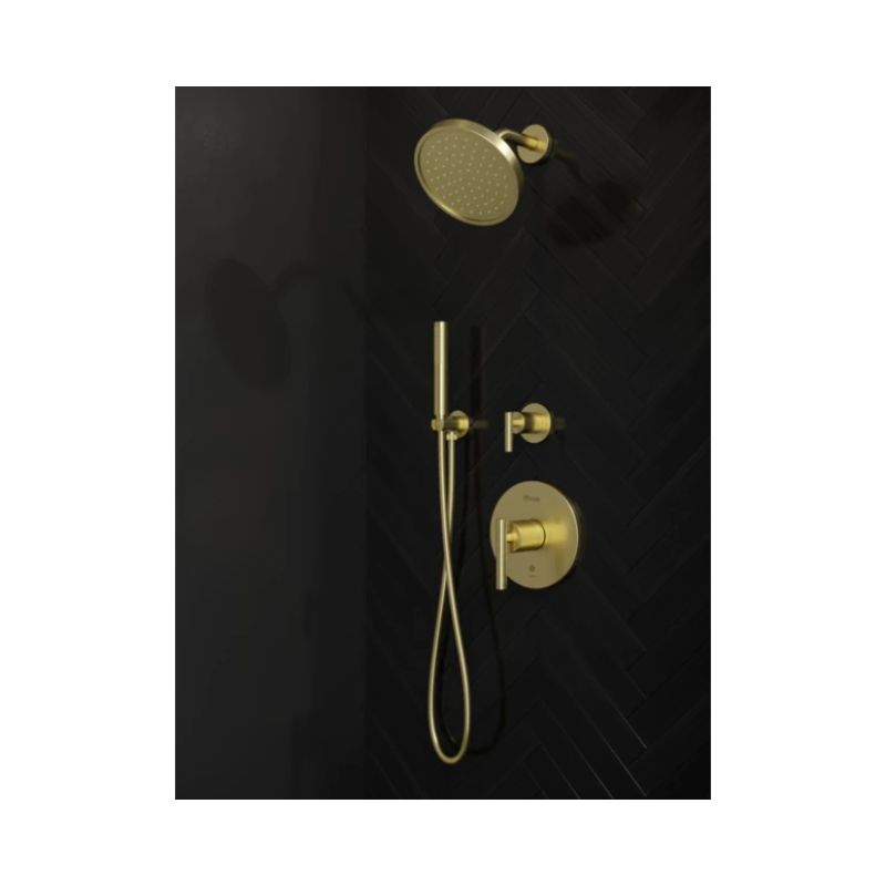 Contempra Single-Hole Hand Shower in Brushed Gold