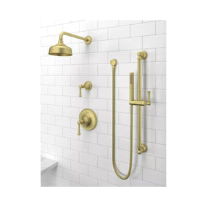 Tisbury Hand Shower with Slide Bar in Brushed Gold