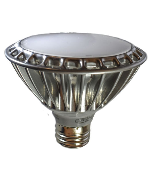Dimmable LED Light Bulb with Frosted Finish