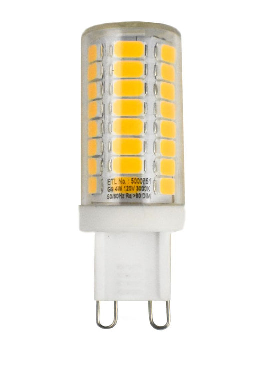4 W LED Light Bulb with Clear Finish