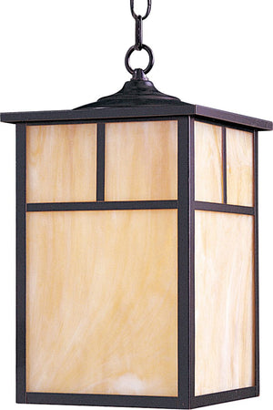 Coldwater 15' Single Light Outdoor Hanging Lantern in Burnished