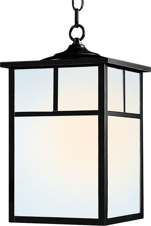 Coldwater 15' Single Light Outdoor Hanging Lantern in Black