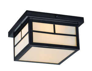 Coldwater 5' 2 Light Outdoor Flush Mount in Black