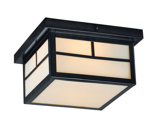 Coldwater 5" 2 Light Outdoor Flush Mount in Black