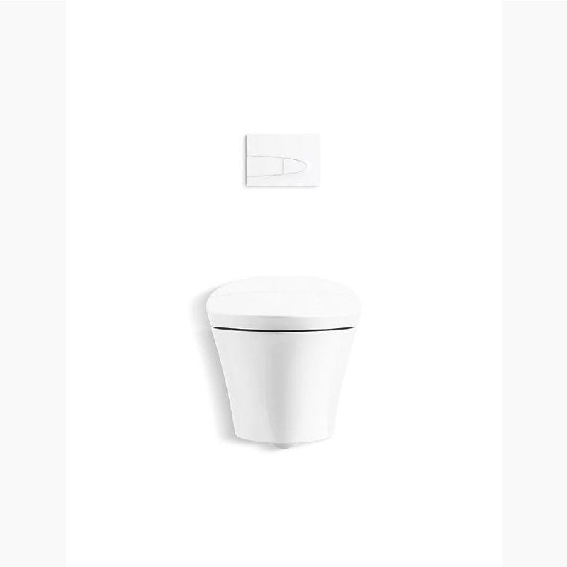 Veil Elongated Wall-Hung Dual-Flush Toilet in White