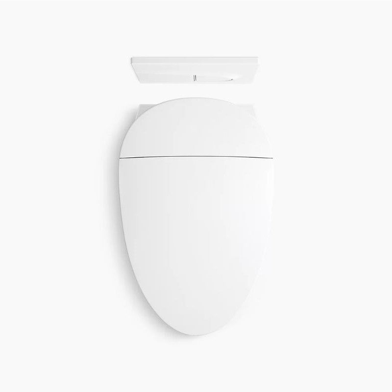 Veil Elongated Wall-Hung Dual-Flush Toilet in White