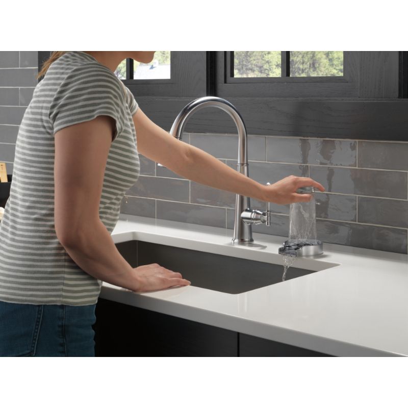 Delta Glass Rinser Kitchen Faucet in Arctic Stainless GR250-AR – Vevano