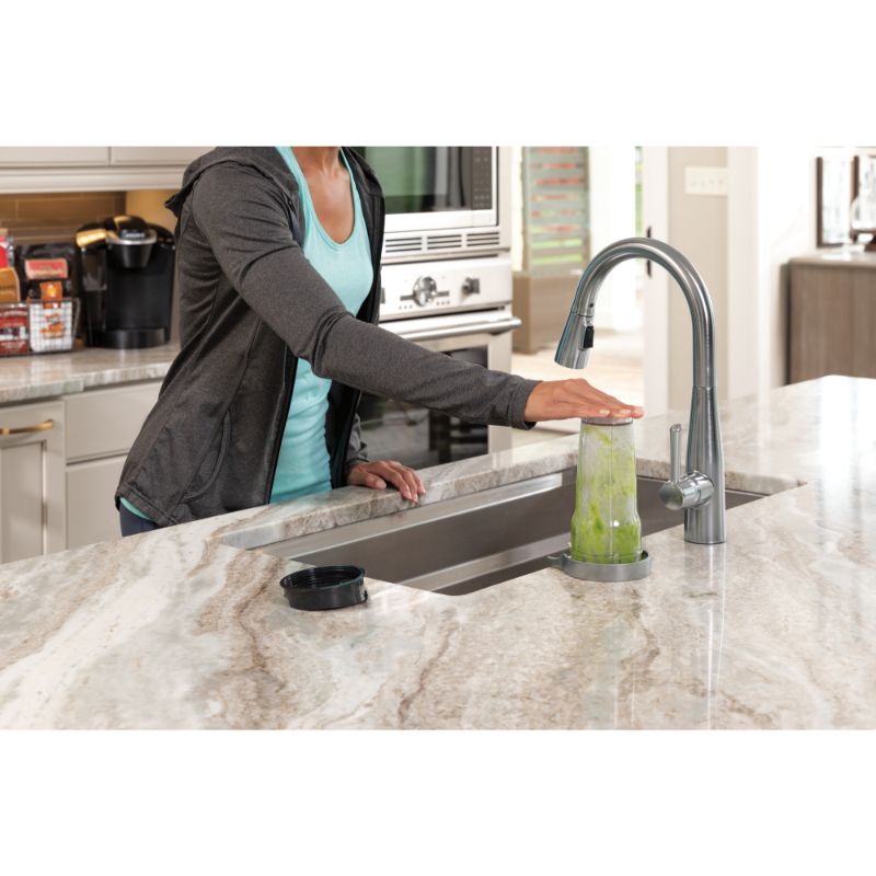Glass Rinser Kitchen Faucet in Arctic Stainless