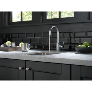Trinsic Bar Kitchen Faucet in Arctic Stainless 1.5 gpm