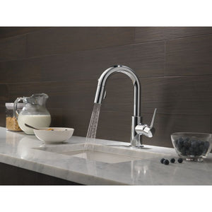Trinsic Bar Kitchen Faucet in Chrome 1.8 gpm