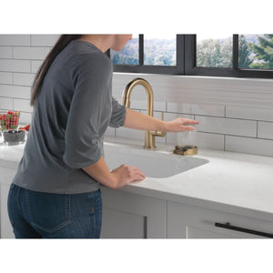 Trinsic Bar Kitchen Faucet in Champagne Bronze 1.8 gpm