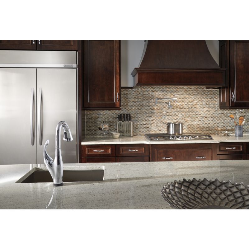 Contemporary Pot Filler Kitchen Faucet in Chrome