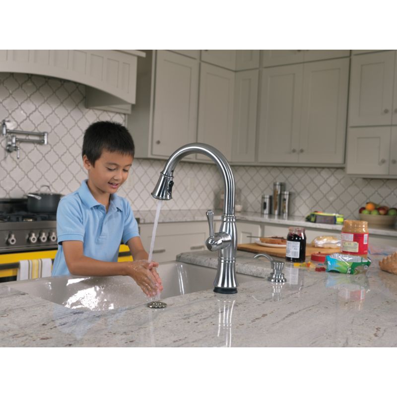 Traditional Pot Filler Kitchen Faucet in Arctic Stainless