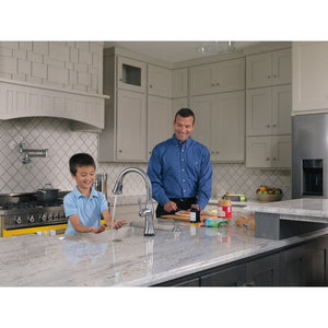 Traditional Pot Filler Kitchen Faucet in Arctic Stainless
