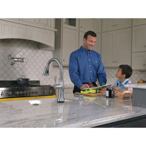 Traditional Pot Filler Kitchen Faucet in Arctic Stainless