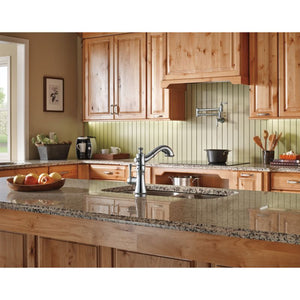 Traditional Pot Filler Kitchen Faucet in Arctic Stainless