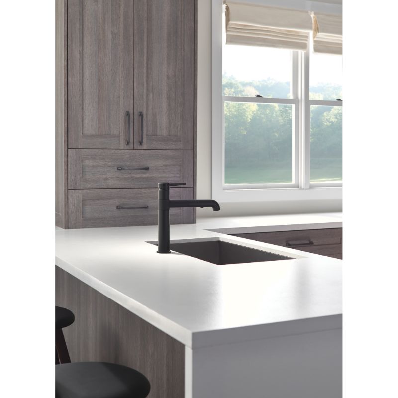 Trinsic Pull-Out Kitchen Faucet in Matte Black
