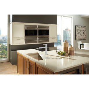 Trinsic Pull-Out Kitchen Faucet in Arctic Stainless