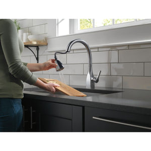 Mateo Pull-Down Kitchen Faucet in Arctic Stainless