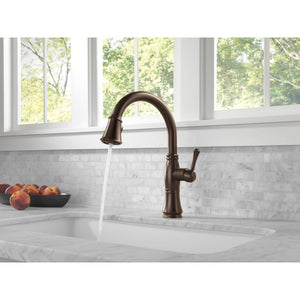 Cassidy Pull-Down Kitchen Faucet in Venetian Bronze