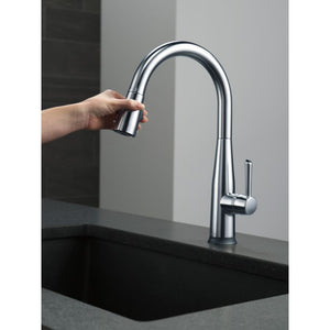Essa Pull-Down Kitchen Faucet in Arctic Stainless with Touch and Voice Control)