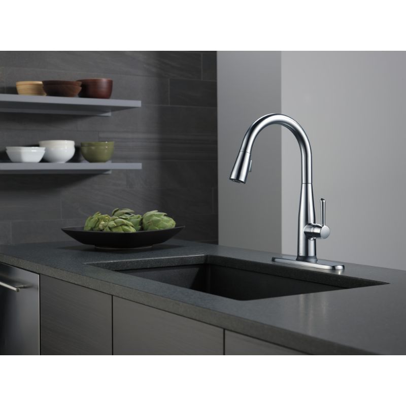 Essa Pull-Down Kitchen Faucet in Arctic Stainless with Touch and Voice Control)