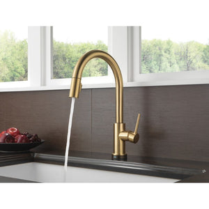 Trinsic Pull-Down Kitchen Faucet in Champagne Bronze with Touch Control