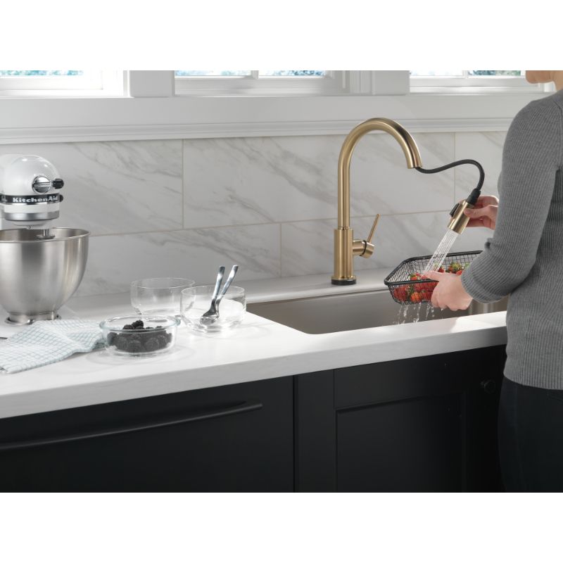 Trinsic Pull-Down Kitchen Faucet in Champagne Bronze with Touch Control