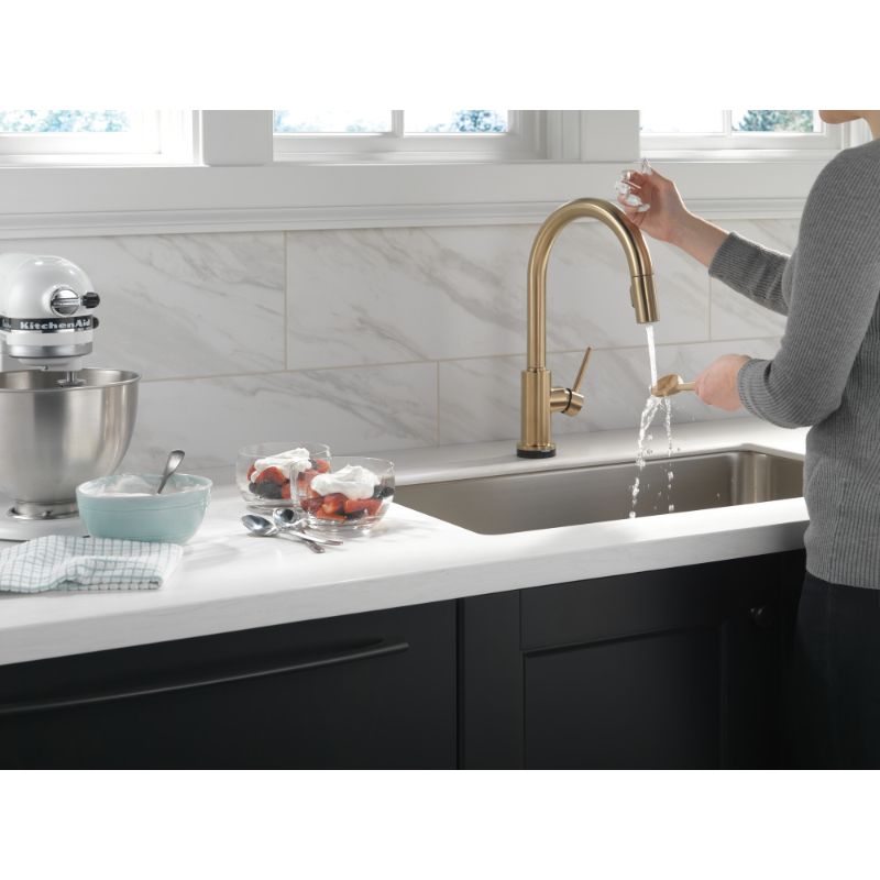 Trinsic Pull-Down Kitchen Faucet in Champagne Bronze with Touch and Voice Control