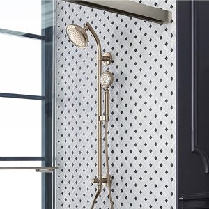Artifacts 2.0 gpm Hand Shower in Vibrant Polished Nickel