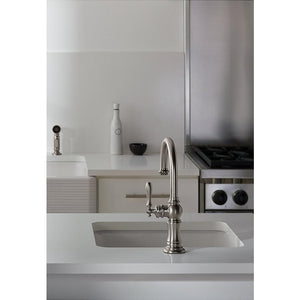 Artifacts Arc Spout Single-Handle Kitchen Faucet in Vibrant Polished Nickel with Side Spray