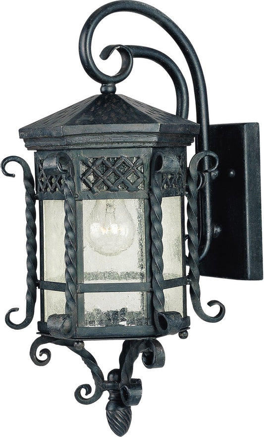Scottsdale 9.5" Single Light Outdoor Wall Mount in Country Forge