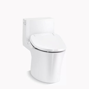 Veil Elongated 0.8 gpf & 1.28 gpf Dual-Flush One-Piece Toilet in White