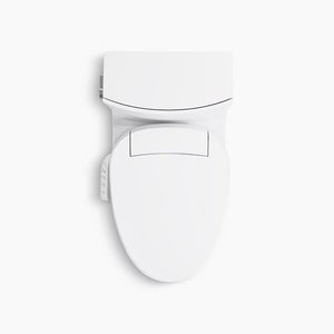 Veil Elongated 0.8 gpf & 1.28 gpf Dual-Flush One-Piece Toilet in White