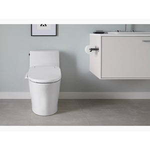 Veil Elongated 0.8 gpf & 1.28 gpf Dual-Flush One-Piece Toilet in White