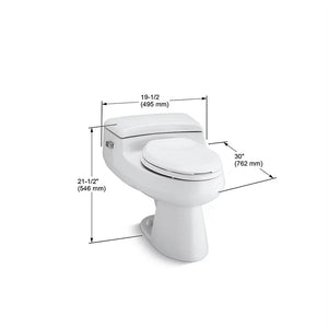 San Raphael Comfort Height Elongated 1.0 gpf One-Piece Toilet in Black Black