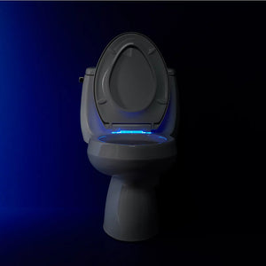 Reveal Nightlight Quiet-Close Elongated Toilet Seat in Ice Grey