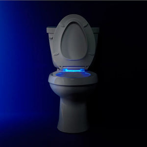 Cachet Nightlight Quiet-Close Elongated Toilet Seat in Ice Grey