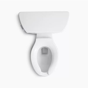 Wellworth Classic Elongated 1.6 gpf Two-Piece Toilet in White