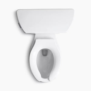 Barrington Elongated 1.6 gpf Two-Piece Toilet in White with Toilet Tank Locks