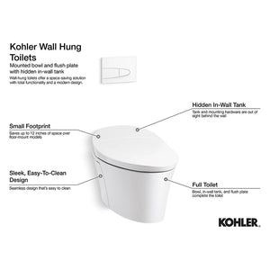 Veil Elongated 0.8 gpf & 1.6 gpf Dual-Flush Wall-Hung Toilet in Black Black