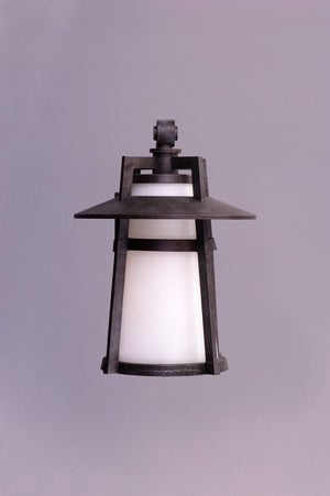 Calistoga 9' Single Light Outdoor Wall Sconce in Adobe