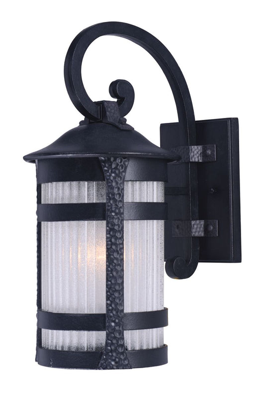Casa Grande 10" Single Light Outdoor Wall Sconce in Anthracite
