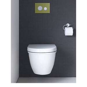 Darling New 24.63' Round 1.6 gpf & 0.8 gpf Dual-Flush Wall Mount Toilet in White