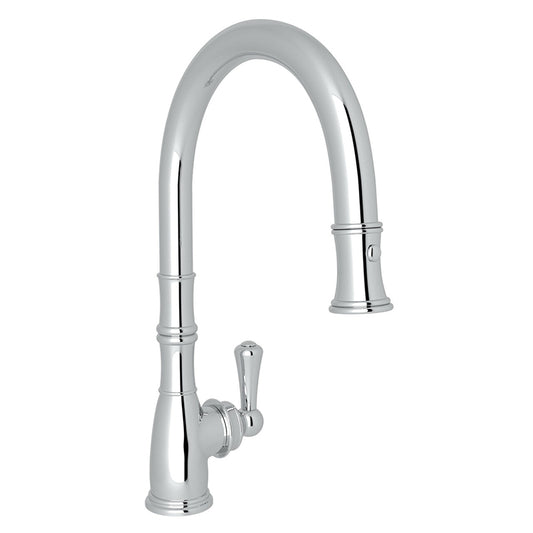 Georgian Era Pull-Down Kitchen Faucet in Polished Chrome