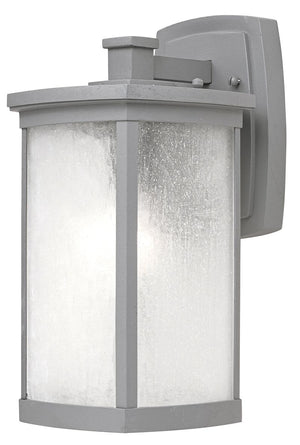 Terrace 7' Single Light Outdoor Wall Sconce in Platinum