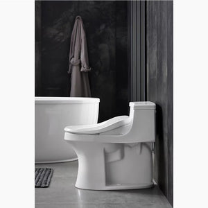 C3-050 Elongated Electronic Bidet Seat in Biscuit